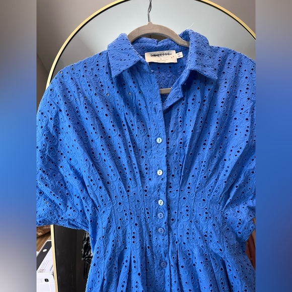 The Tobie Button-Front Pleated Shirt Dress: Mini Eyelet Edition - Picture 5 of 8